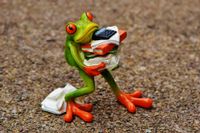 frog-g6c42e9bf6_1920